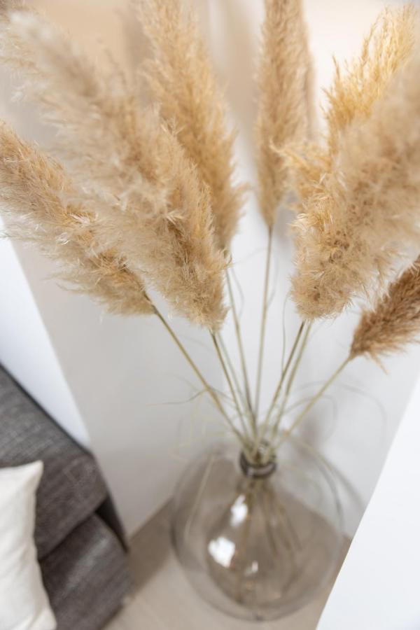 Balcony Apartment Pampas リエカ エクステリア 写真
